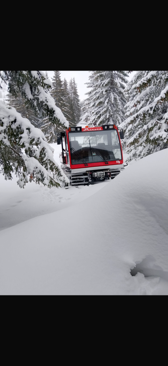 Prinoth T2S
