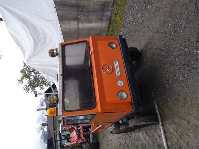 Schneewiesel Puch Haflinger